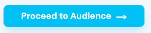 Proceed to Audience button at the bottom of the campaign details form